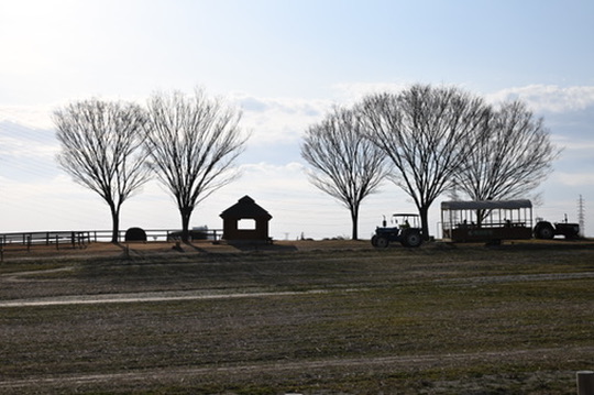 Open pastureland and farm vehicle at Aichi Farm